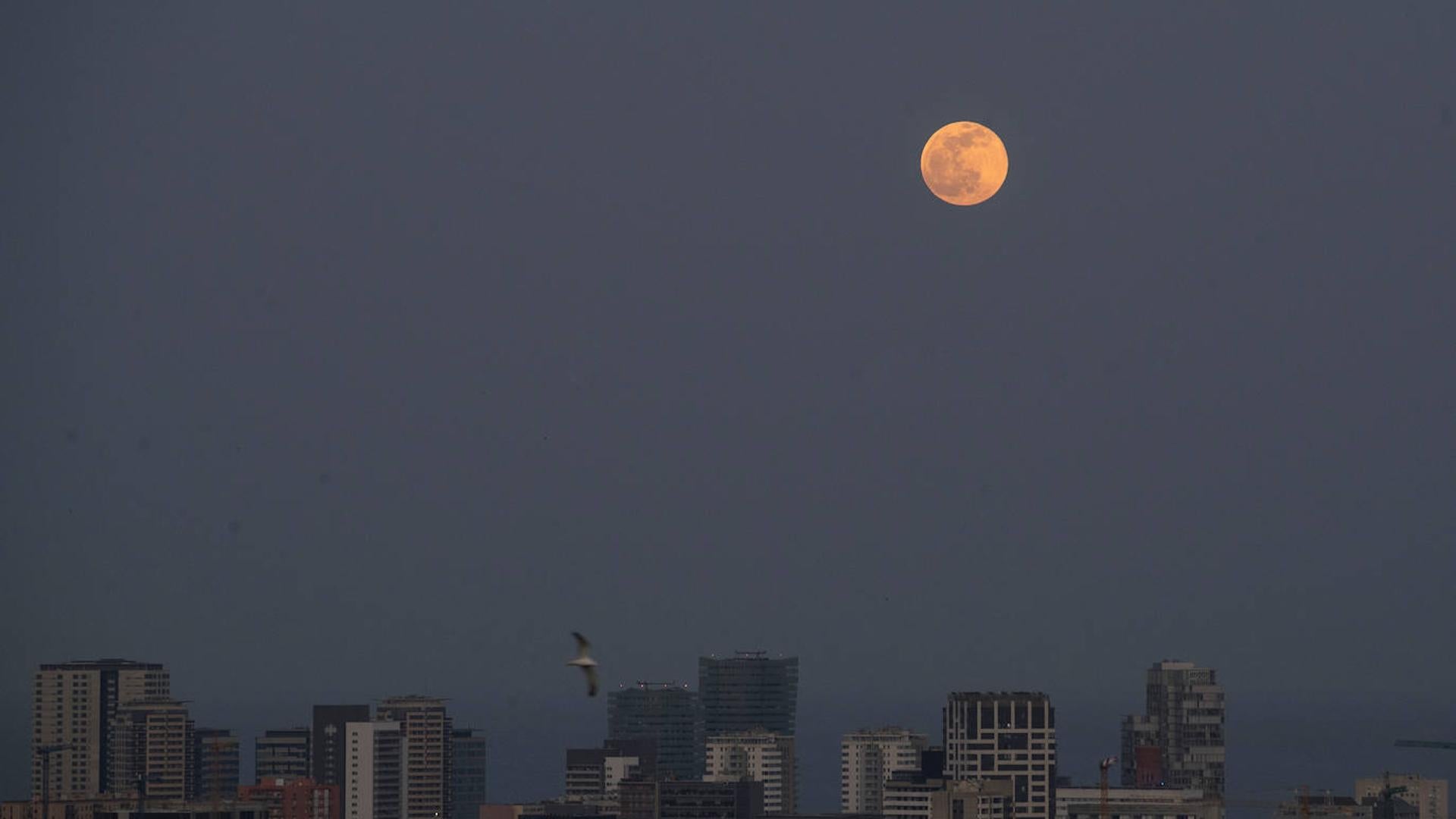 Super blue moon 2023 when will the last full moon of summer be seen
